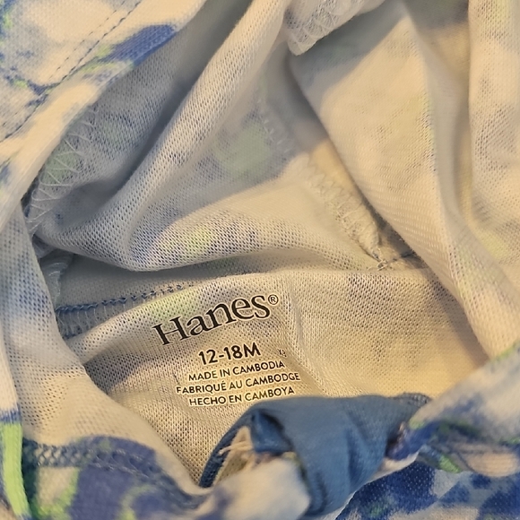 Hanes Kids Blue and Green Zip Hoodie - Picture 7 of 8